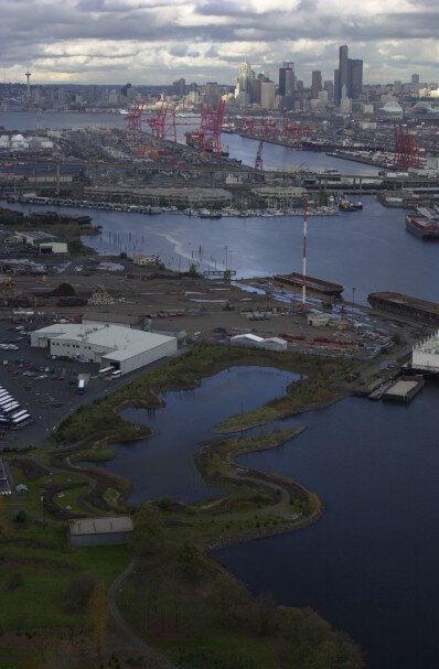 Restoration of Duwamish River work party on April 19