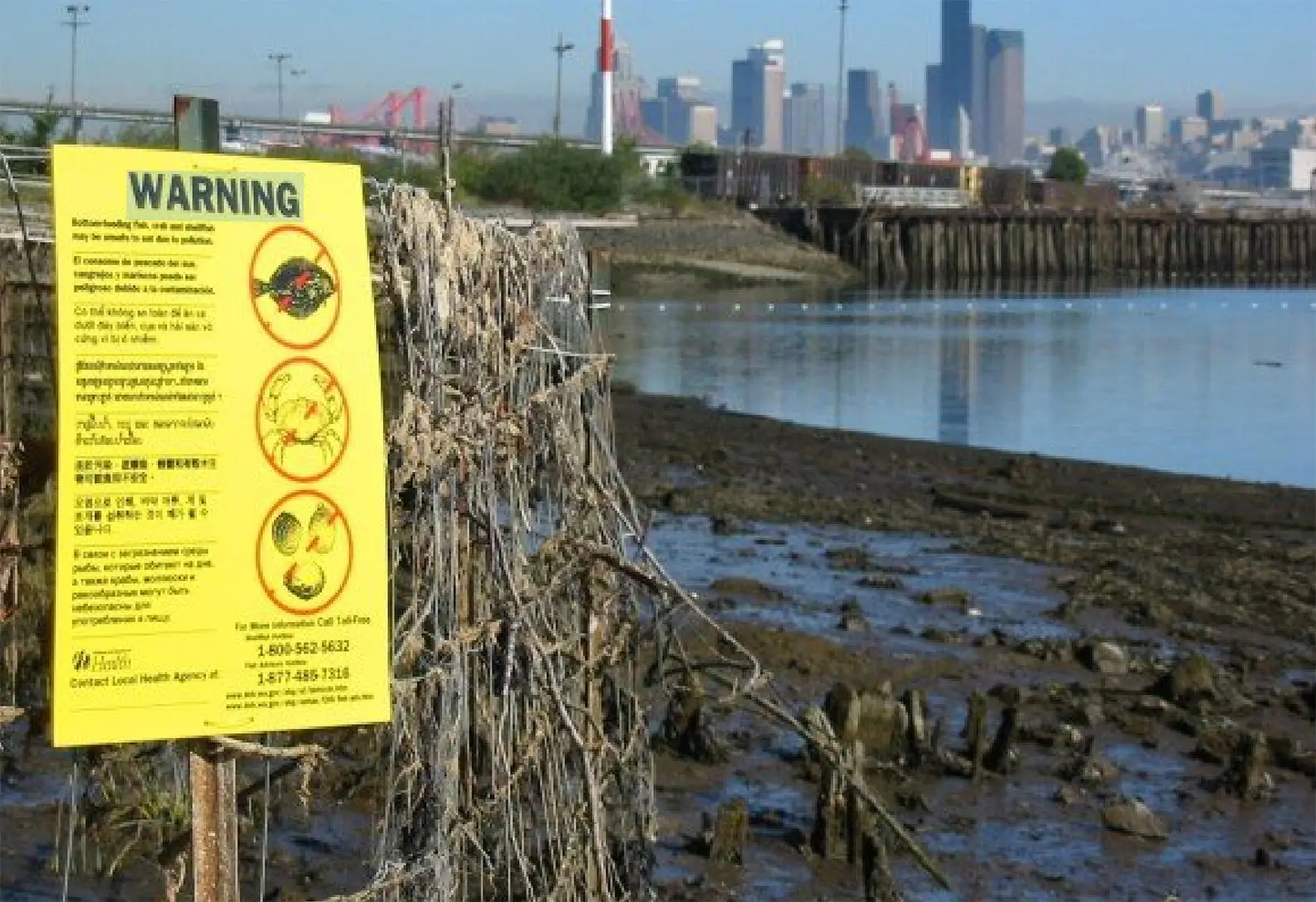 Duwamish River Restoration Project