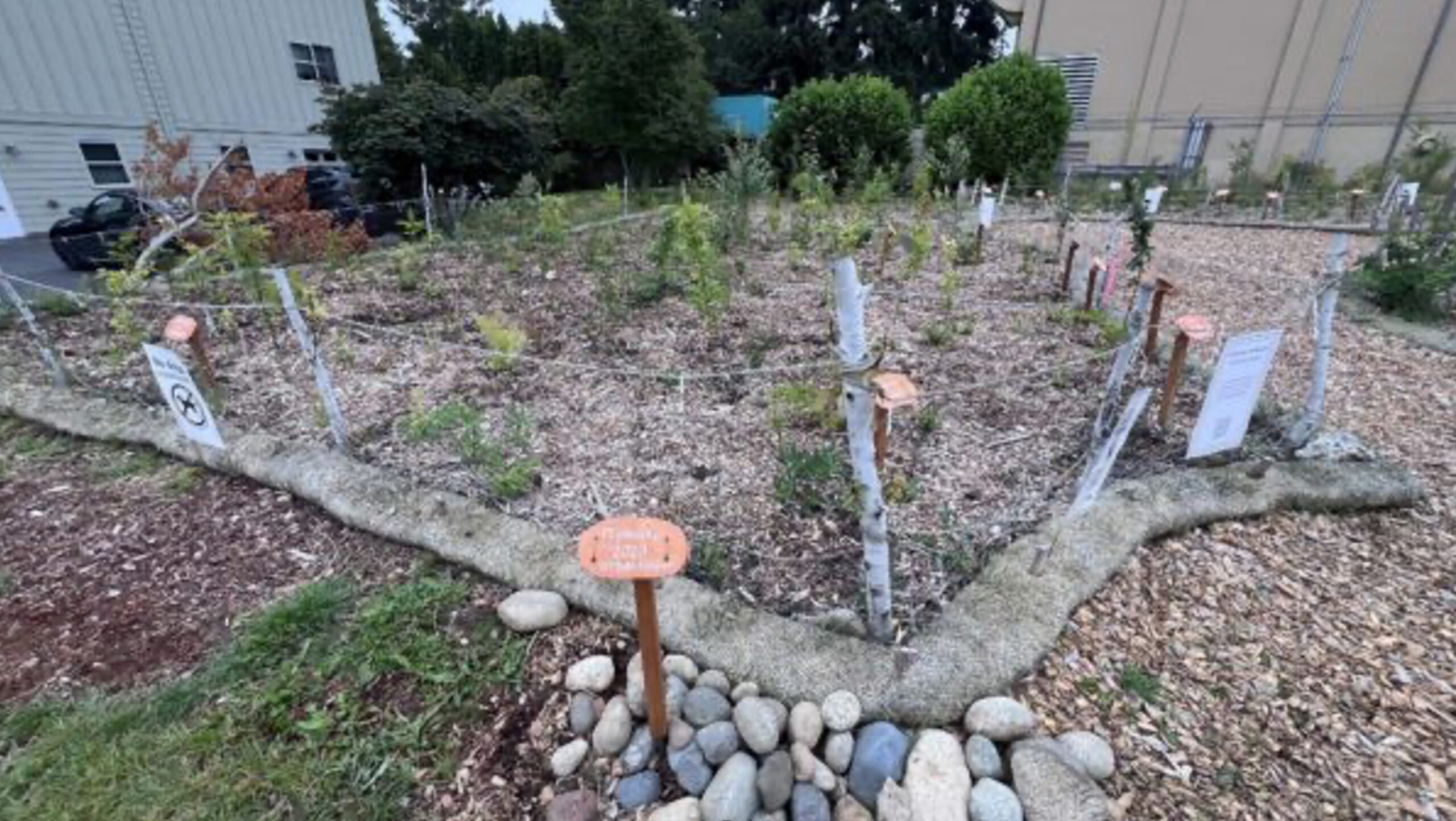 Rotary and the Environment