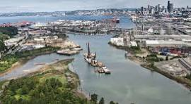 Volunteers Needed for Duwamish River Restoration Project Saturday, May 3.