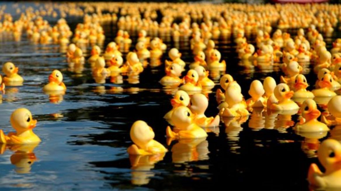 Rotary Club of Renton Rubber Ducky Derby