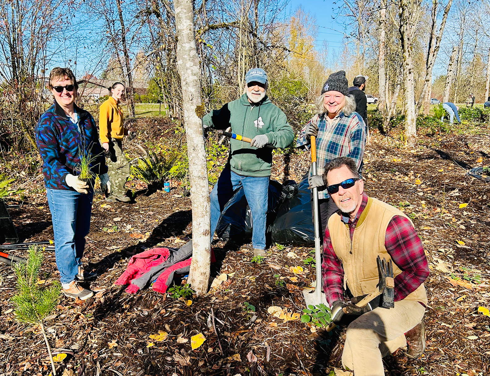 Rotarians Restore Boise Creek Habitat = a sunny day of service in Enumclaw🍁☀️♻️