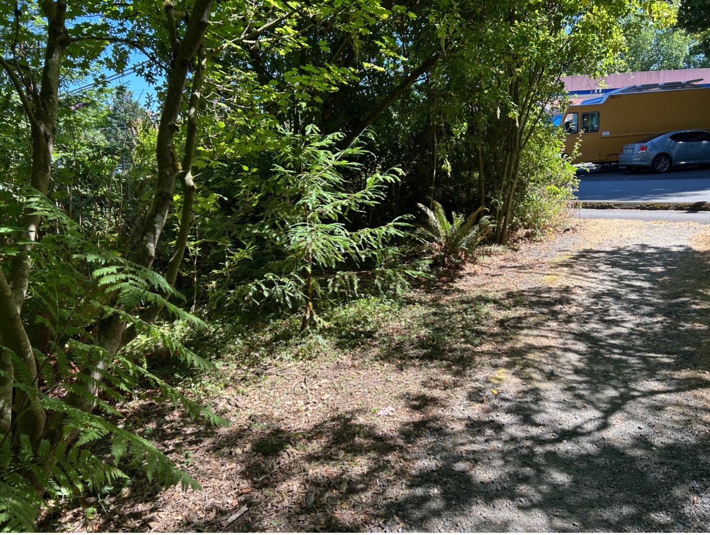Blue Heron Park Restoration Project