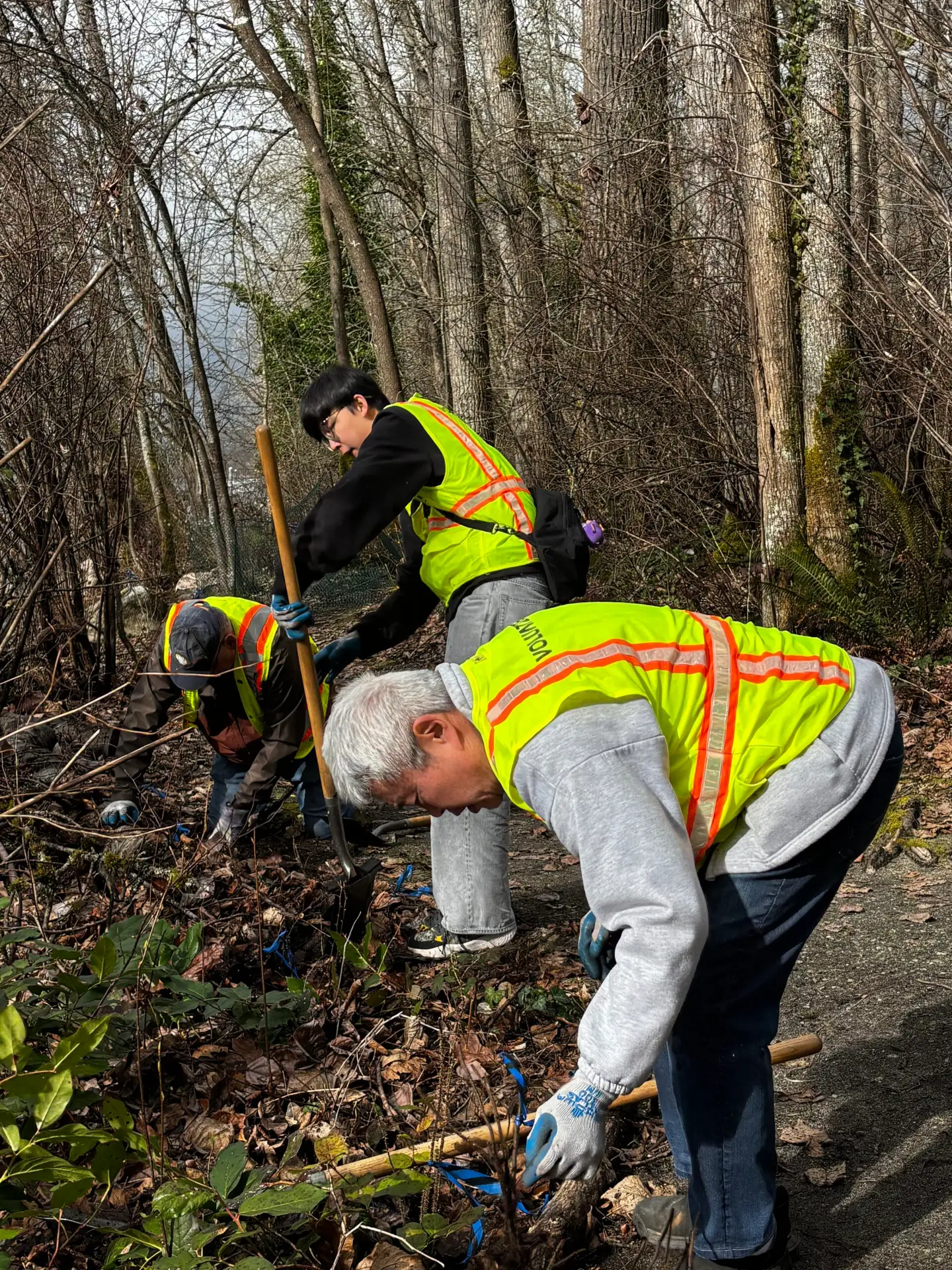 Sammamish Rotarians help to protect lakeshore integrity at Sammamish Landing